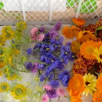 Edible flowers