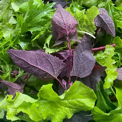 Mixed leaves